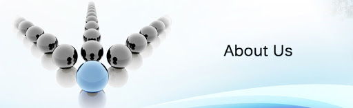 Expert Security and Risk Consultants Australia